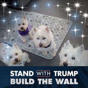 Meet your Posher, Wendy